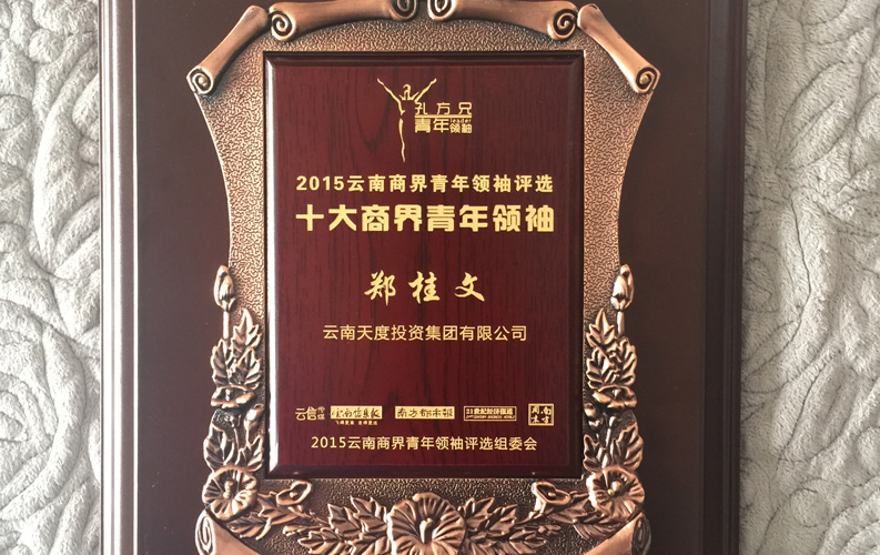 在“互聯(lián)網(wǎng)大時代”的背景下，天度作為本土很大和很有名的互聯(lián)網(wǎng)服務(wù)企業(yè)，為近萬家傳統(tǒng)企業(yè)轉(zhuǎn)型互聯(lián)網(wǎng)+提供了服務(wù)和幫助，獲此獎項后，我們將再接再厲，創(chuàng)造更高的社會價值
